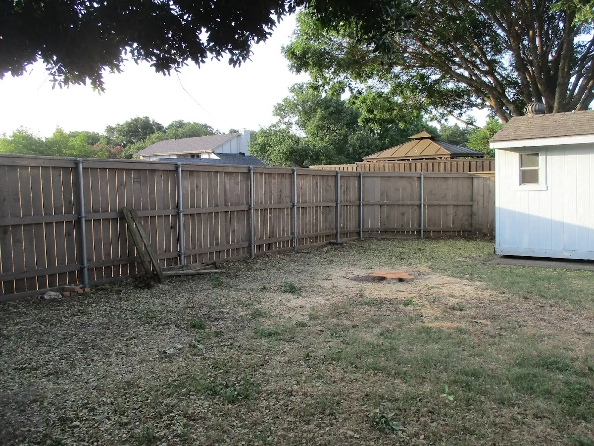 Cleared yard after professional tree removal in Cyril